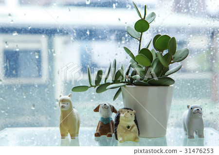 陰雨天氣,窗台,花盤,王子,雨,窗戶,花盆,娃娃,雨,窗台,娃娃 陰雨天氣,窗台,花盤,王子,雨,窗戶,花盆,娃娃,雨,窗台,娃娃 31476253