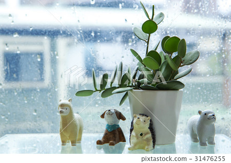 陰雨天氣,窗台,花盤,王子,雨,窗戶,花盆,娃娃,雨,窗台,娃娃 陰雨天氣,窗台,花盤,王子,雨,窗戶,花盆,娃娃,雨,窗台,娃娃 31476255