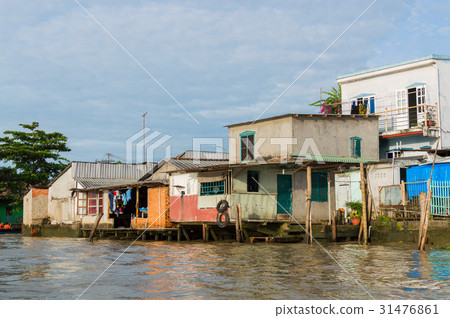 Delta of Mekong river Delta of Mekong river 31476861