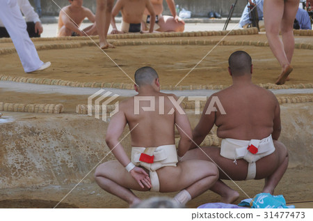 學生相撲 31477473