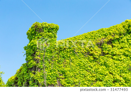 Kurashiki Ivy Square Kurashiki Ivy Square 31477493