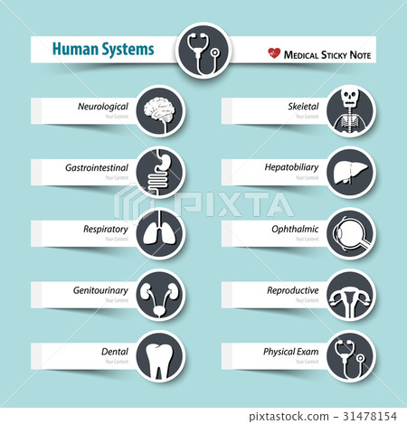 Human Systems . Medical sticky note style . 31478154