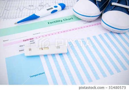 Pregnancy test on fertility chart 31480573