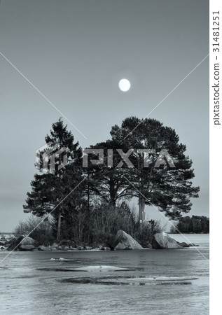 Winter sea landscape with moon 31481251