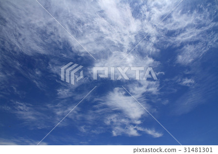 Refreshing early summer sky 31481301