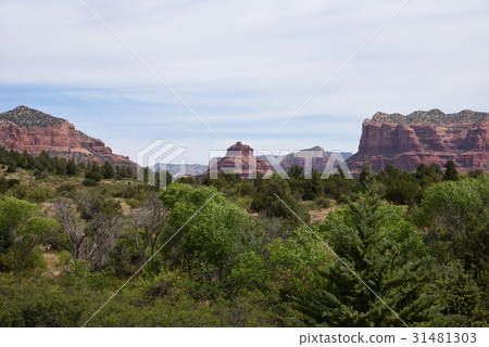 塞多納的岩石景觀 塞多納的岩石景觀 31481303