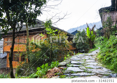 wet pathway in hill of Dazhai village wet pathway in hill of Dazhai village 31481551
