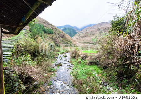 creek between terraced hills of Dazhai village creek between terraced hills of Dazhai village 31481552