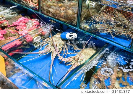 crabs, spiny lobster in fish market in Guangzhou 31481577