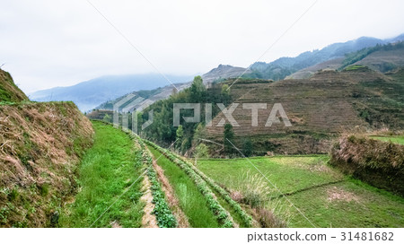 terraced fields of Tiantouzhai village 31481682