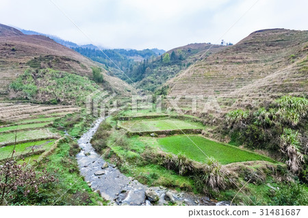 creek between terraced fields of Dazhai village 31481687