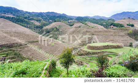 terraced mountain near Dazhai village in country terraced mountain near Dazhai village in country 31481700