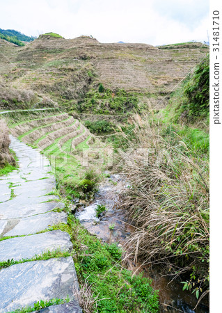 water flow and path between terraced hills water flow and path between terraced hills 31481710