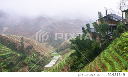 view of terraced fields of Tiantouzhai village 31481849