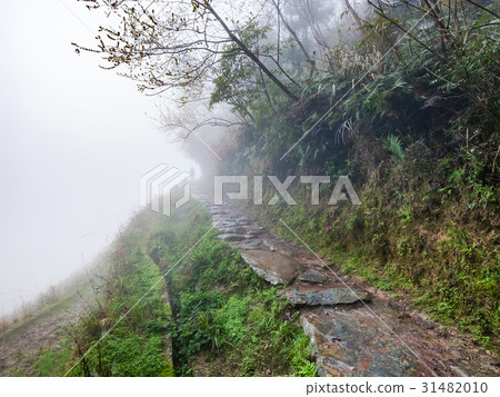 wet path on hill slope in rainy misty spring day wet path on hill slope in rainy misty spring day 31482010
