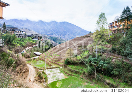 Dazhai village in area Longsheng Rice Terraces 31482094
