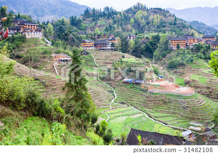 view of Dazhai village on terraced green hills 31482108
