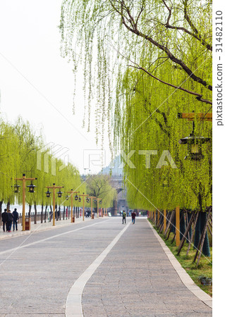 people on embankment walk to Longmen Grottoes 31482110