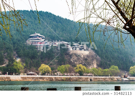 tree and blurred East Hill of Longmen Grottoes 31482113