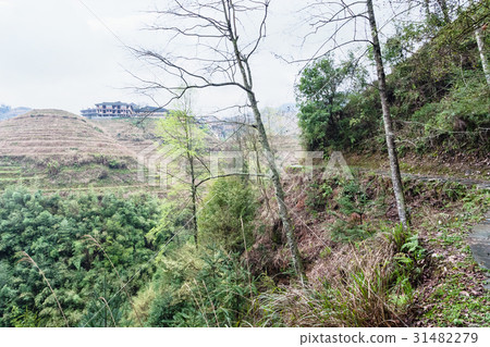 view of houses on terraced hills of Dazhai view of houses on terraced hills of Dazhai 31482279
