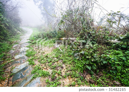 wet path in field in rainy misty spring day 31482285