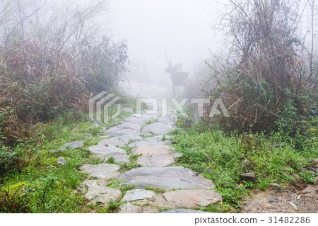 wet path in Tiantouzhai village in spring 31482286