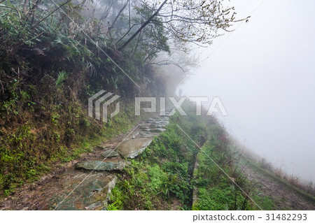 pathway on hill slope in rainy misty spring day 31482293