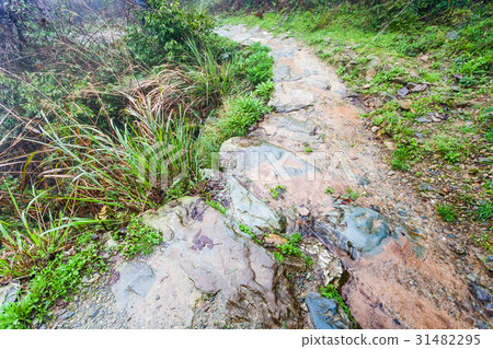 wet pathway on terraced hill in Dazhai wet pathway on terraced hill in Dazhai 31482295