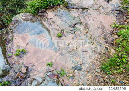 wet footpath on terraced hill in Dazhai wet footpath on terraced hill in Dazhai 31482296