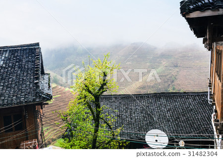 cottages in village and terraced fields cottages in village and terraced fields 31482304