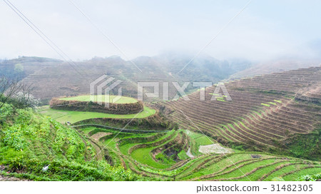 above view of terraced rice gardens on hills 31482305