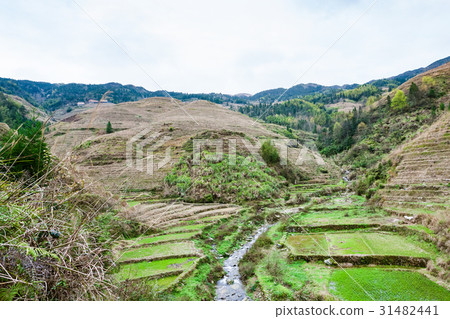 view of terraced gardens and creek in Dazhai 31482441