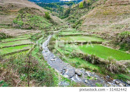 view of terraced grounds and streem in Dazhai view of terraced grounds and streem in Dazhai 31482442