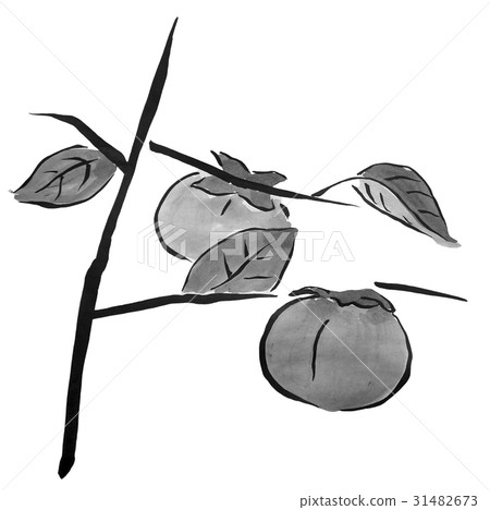 Persimmon - Stock Illustration [31482673] - PIXTA