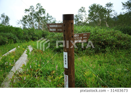 Tsugaike nature park Shinshu Hakuba mountain foot Tsugaike nature park Shinshu Hakuba mountain foot 31483673