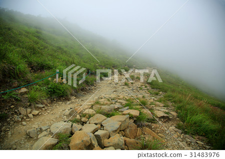 Hakuba Happo One Takayama植物園 31483976
