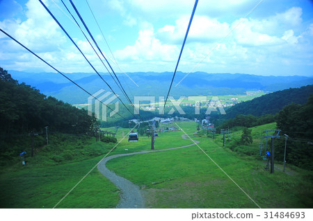 Hakuba Goryu高山植物園白馬山腳 Hakuba Goryu高山植物園白馬山腳 31484693
