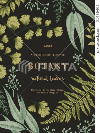 Botanical illustration with leaves. 31486408