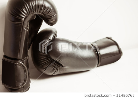 View of boxing gloves View of boxing gloves 31486765