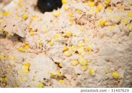 Focus on mix of corn and tuna 31487629