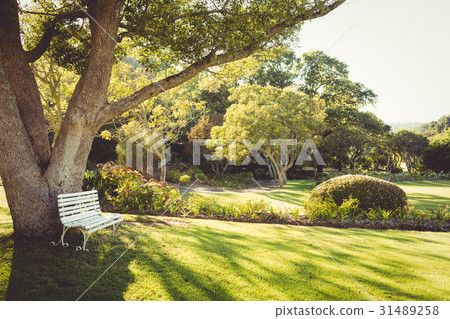View of a park on a sunny day 31489258