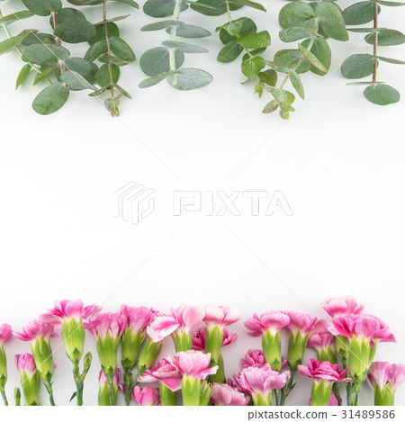 Baby eucalyptus leaves and pink carnation flowers Baby eucalyptus leaves and pink carnation flowers 31489586