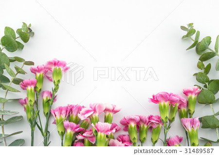 Baby eucalyptus leaves and pink carnation flowers Baby eucalyptus leaves and pink carnation flowers 31489587
