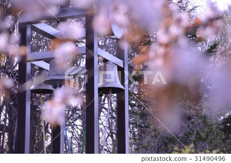 櫻花和鍾聲 31490496