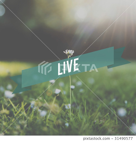 Good Vibes Be Positive Concept 31490577