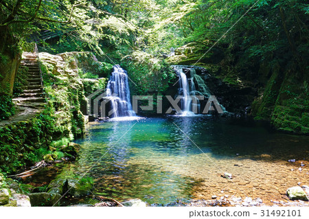 Red Eye Shogaki 8 Falls Mie Prefecture Fresh green Red Eye Shogaki 8 Falls Mie Prefecture Fresh green 31492101