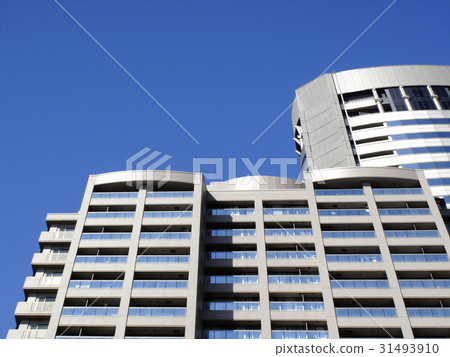 大阪美化公園 31493910