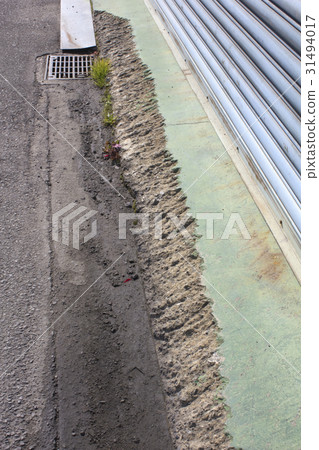 Scraped concrete floor Scraped concrete floor 31494017