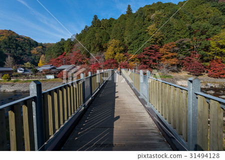 Korankei and Tomoe river in autumn season. Korankei and Tomoe river in autumn season. 31494128