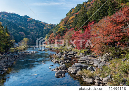 Korankei and Tomoe river in autumn season. Korankei and Tomoe river in autumn season. 31494138